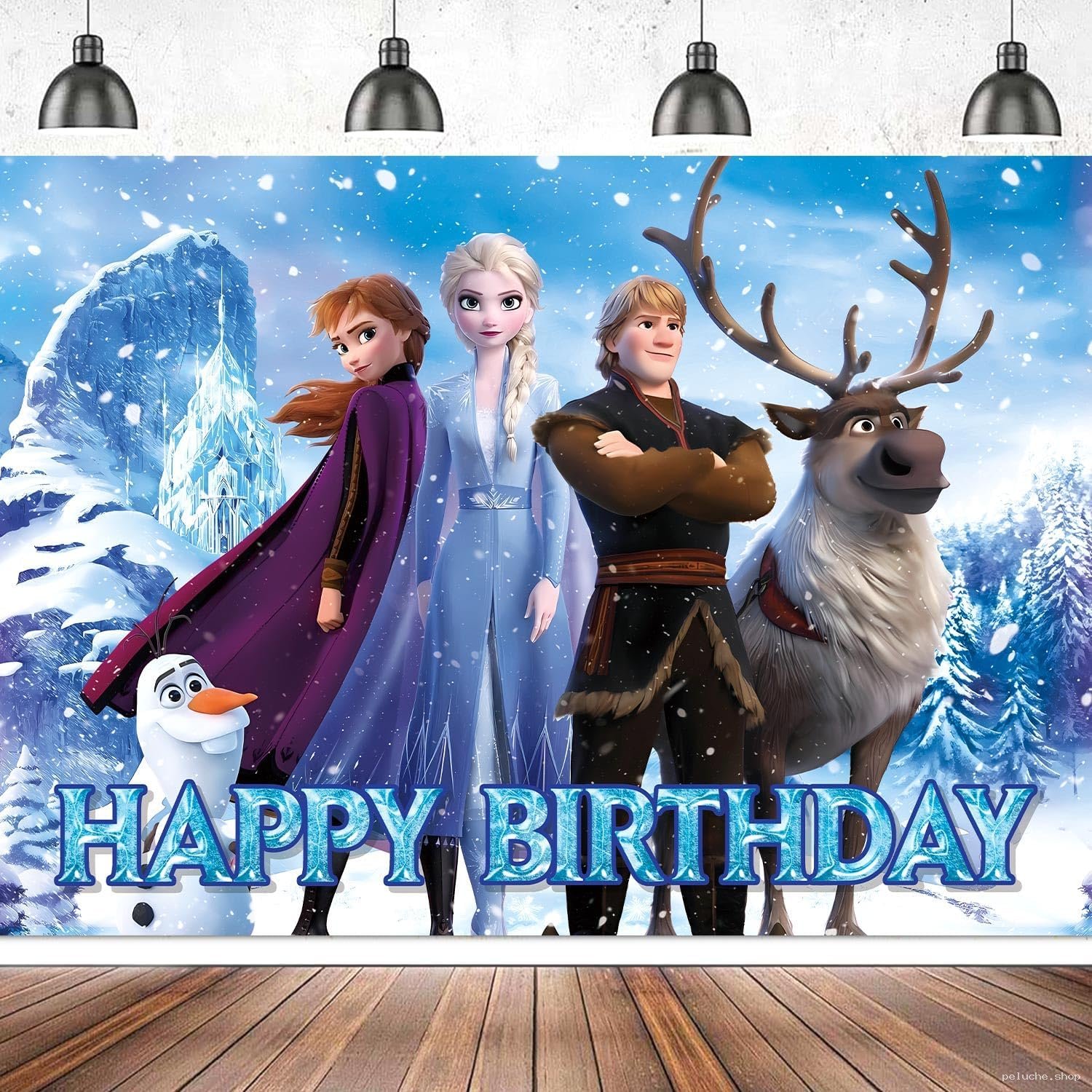 Toile de Fond Anniversaire La Reine des Neiges Disney