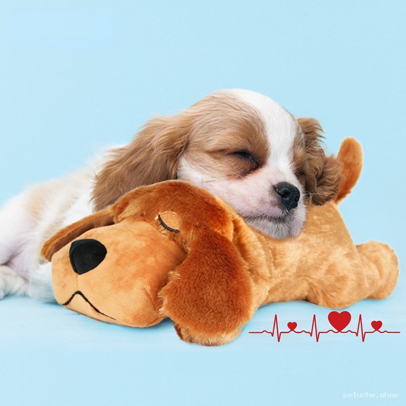 Peluche Chien Confortante pour un Sommeil Doux du Chiot