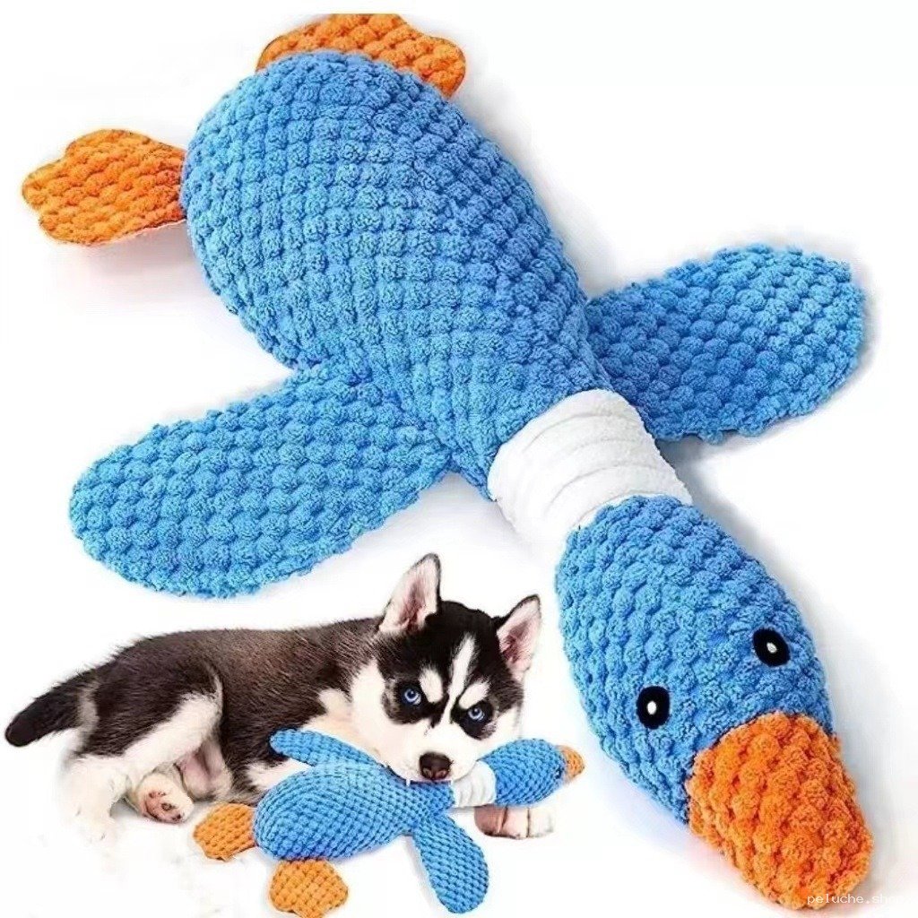 Jouet Chien Canard Bleu Durable - Idéal pour Mâcher & Jouer