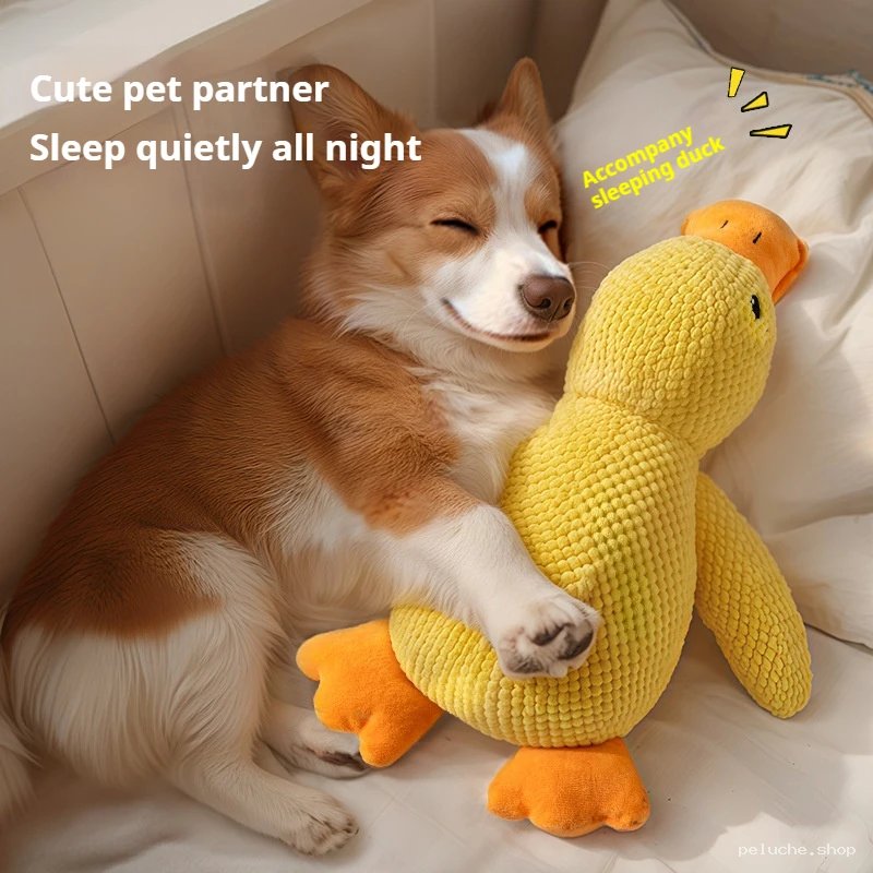 Peluche Canard Dormeur pour Chien - Doudou Confort Animaux