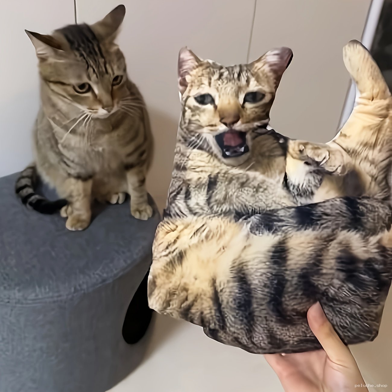 Adoptez notre Coussin Chat Réaliste 3D - Idéal Amoureux Félins