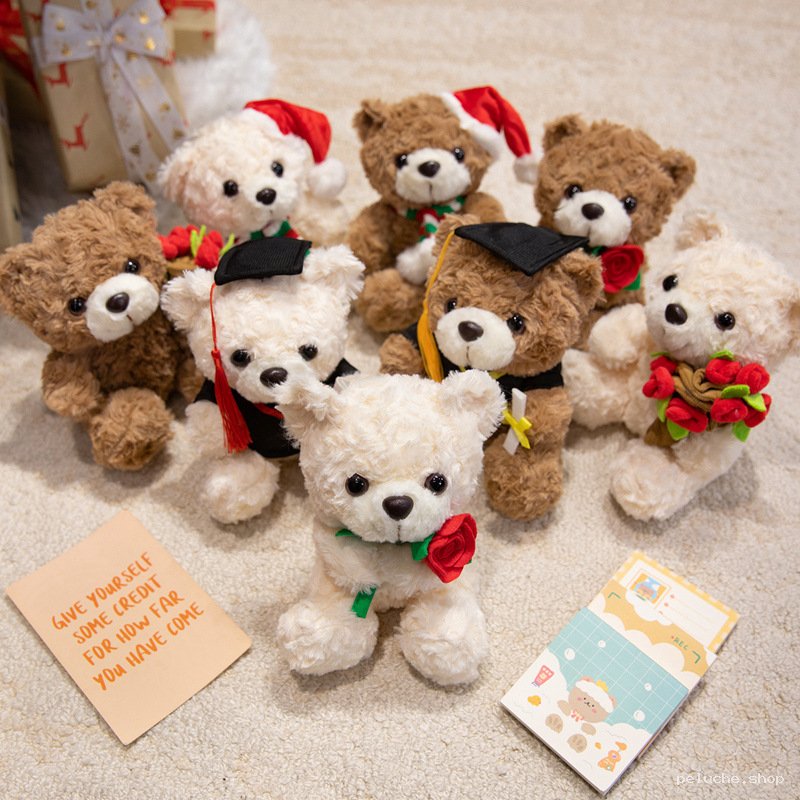 Ours en peluche mignons pour toute occasion : graduation, Noël