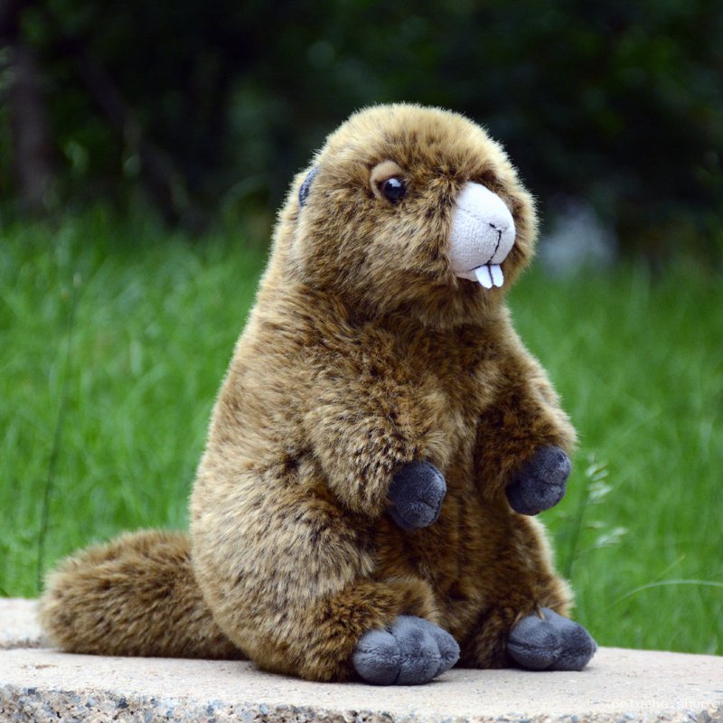 Peluche Castor Douce et Mignonne pour Enfants - Cadeau Idéal