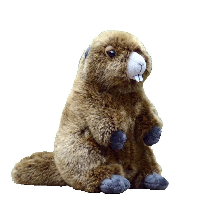 Peluche Castor Doux et Réaliste - Jouet Câlin pour Enfants
