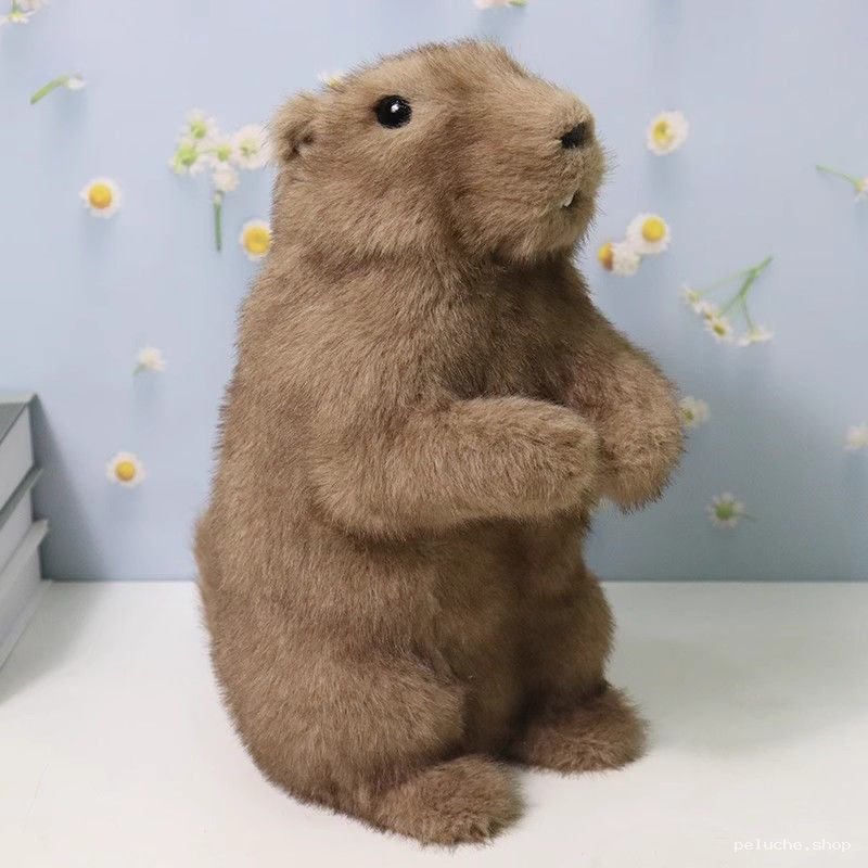 Peluche Marmotte Réaliste Douce - Cadeau Enfant et Adulte