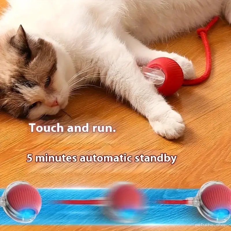 Jouet Chat Interactif Automatique | Éveille l'Instinct
