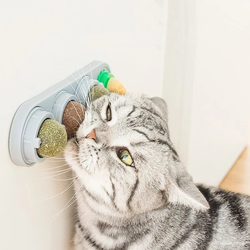 Jouet Mural Interactif pour Chat - Menthe et Galle
