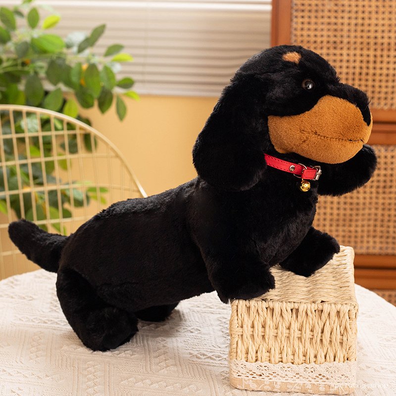 Peluche Teckel Noir Réaliste | Collier Rouge | Doudou Chien