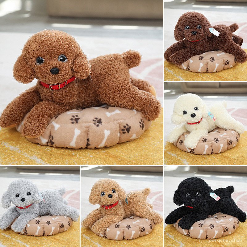 Peluche Caniche Réaliste sur Coussin - Doudou Chien Mignon
