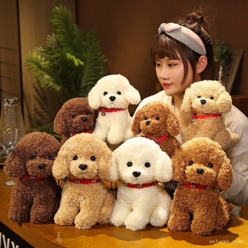 Chiens Caniches en Peluche Ultra Douce | Cadeau Adorable
