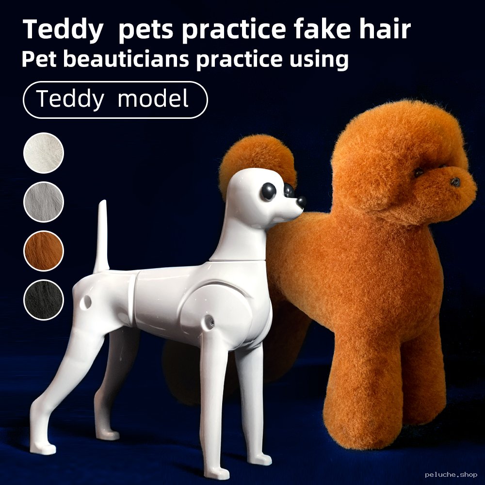 Mannequin de toilettage Teddy pour pratique professionnelle