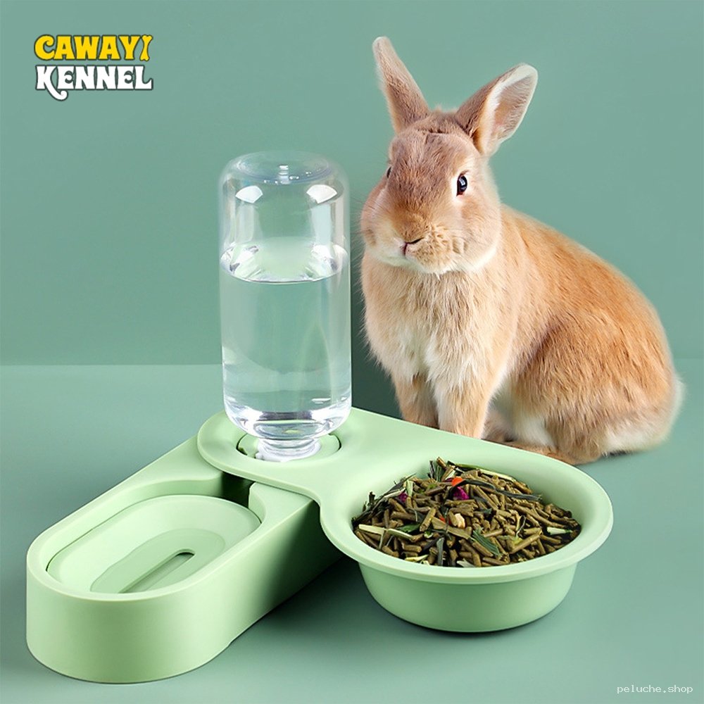 Distributeur automatique eau & nourriture pour lapins