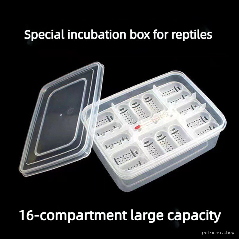 Incubateur Reptiles Grande Capacité 16 Compartiments