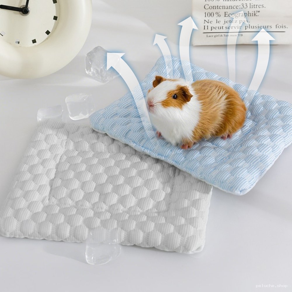 Tapis Rafraîchissant pour Rongeurs & Petits Animaux | Confort Été