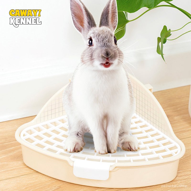 Litière d'angle pour lapin - Propreté et confort CAWAY KENNEL