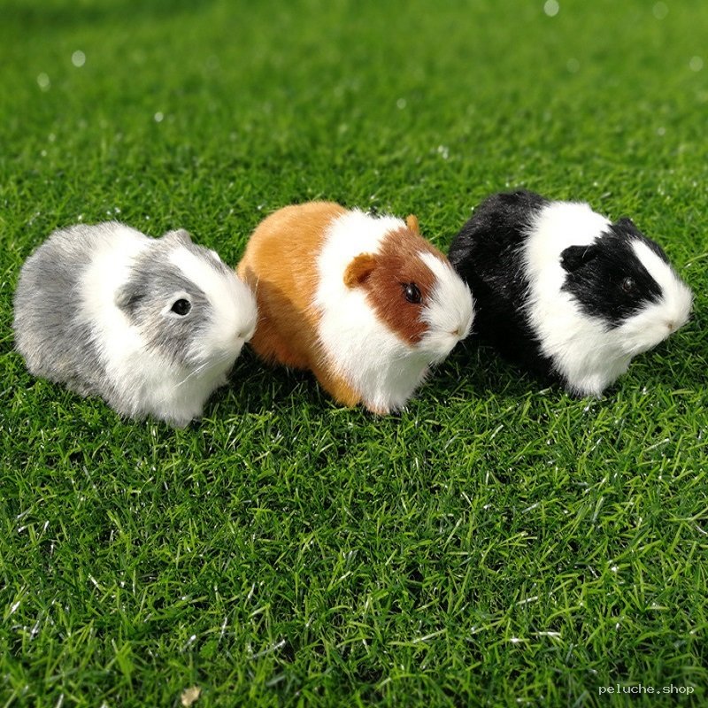 Cochon d'Inde Peluche Douce et Réaliste - Trois Couleurs