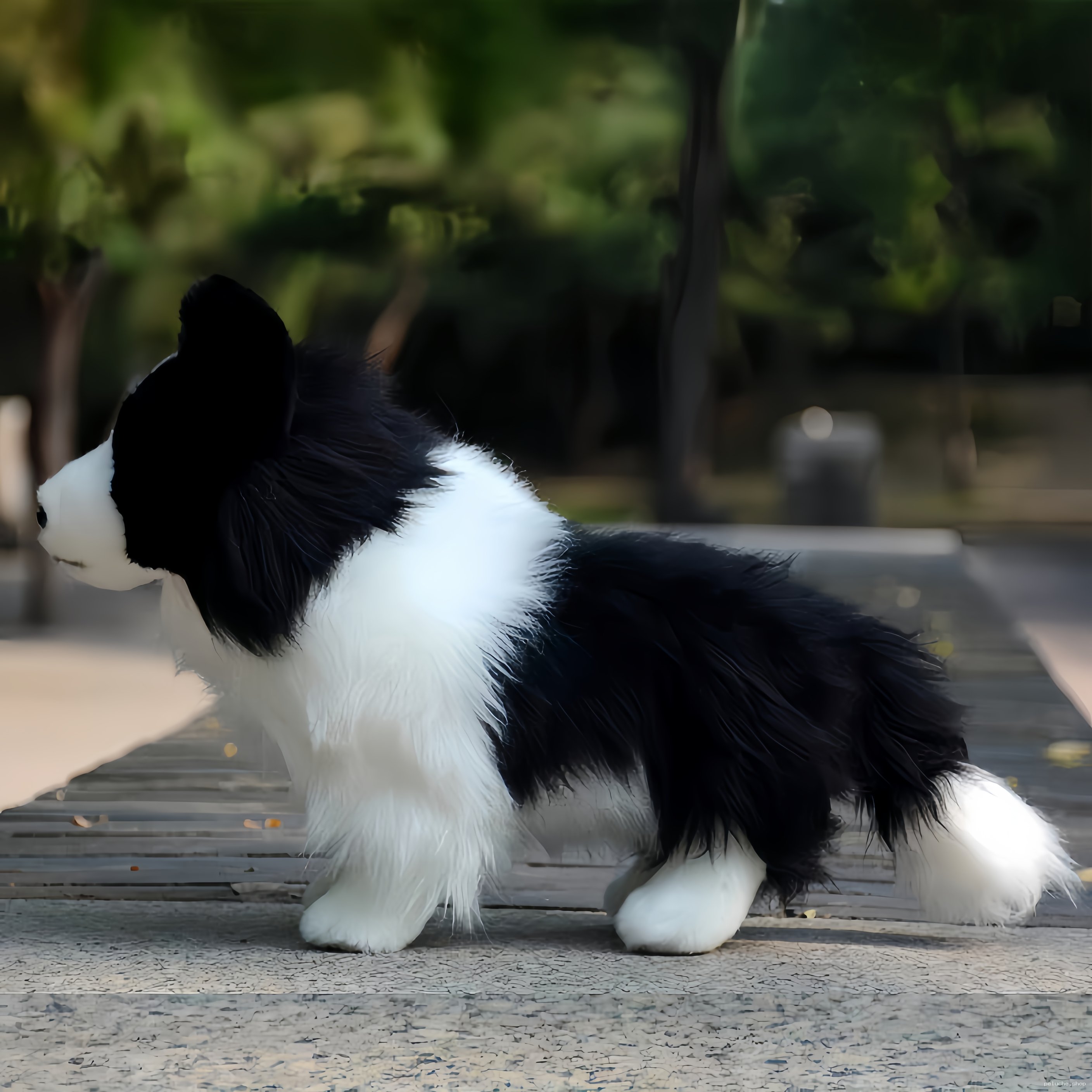 Peluche Border Collie Réaliste - Jouet Chien Noir & Blanc