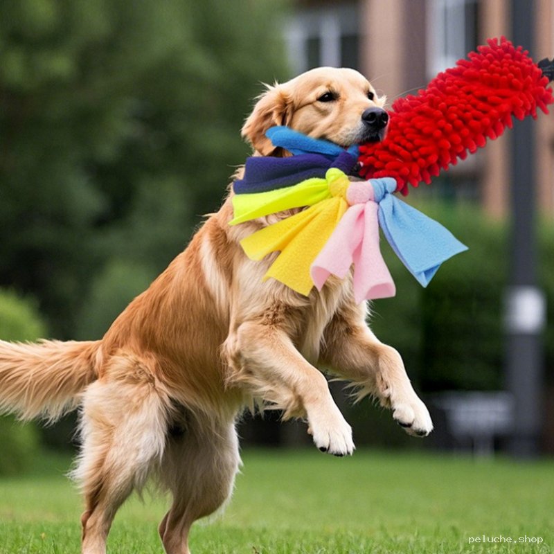 Jouet Robuste pour Chien | Golden Retriever & Grands Chiens