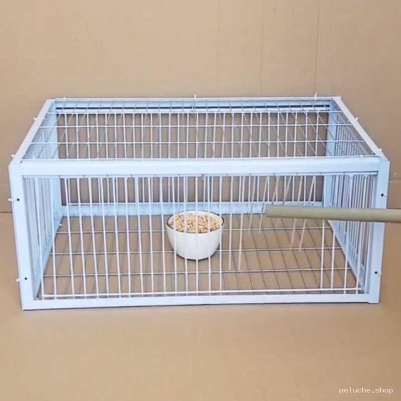 Cage à oiseaux blanche en métal – Confort et sécurité