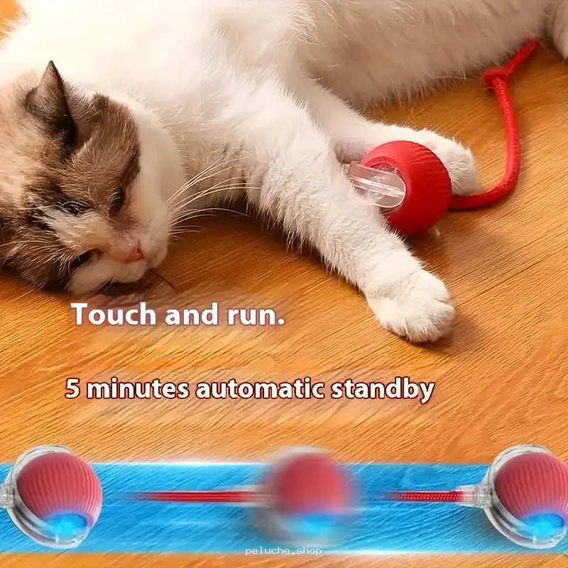 Jouet Chat Interactif Automatique | Éveille l'Instinct