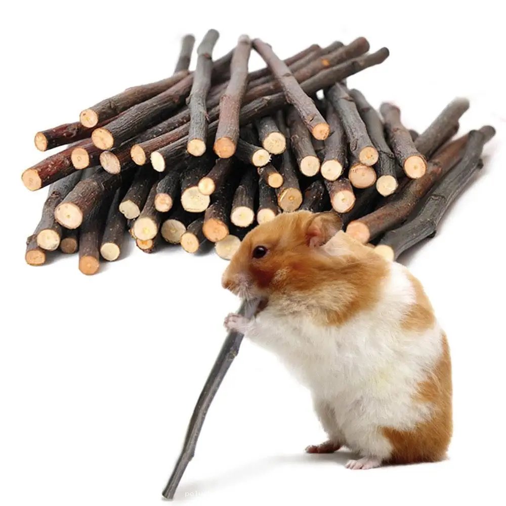 Bâtonnets à Mâcher Naturels pour Rongeurs – Santé Dentaire