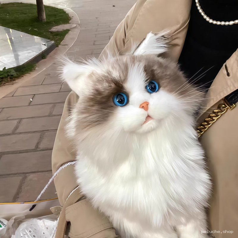 Peluche Chat Réaliste Ragdoll Yeux Bleus - Douce et Adorable