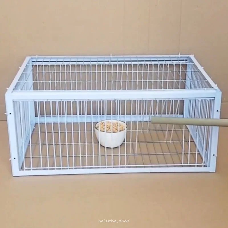 Cage à oiseaux blanche en métal – Confort et sécurité