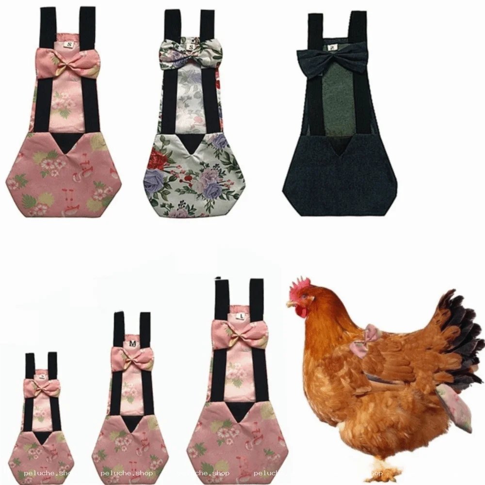 Couches pour poules élégantes | Protection et style